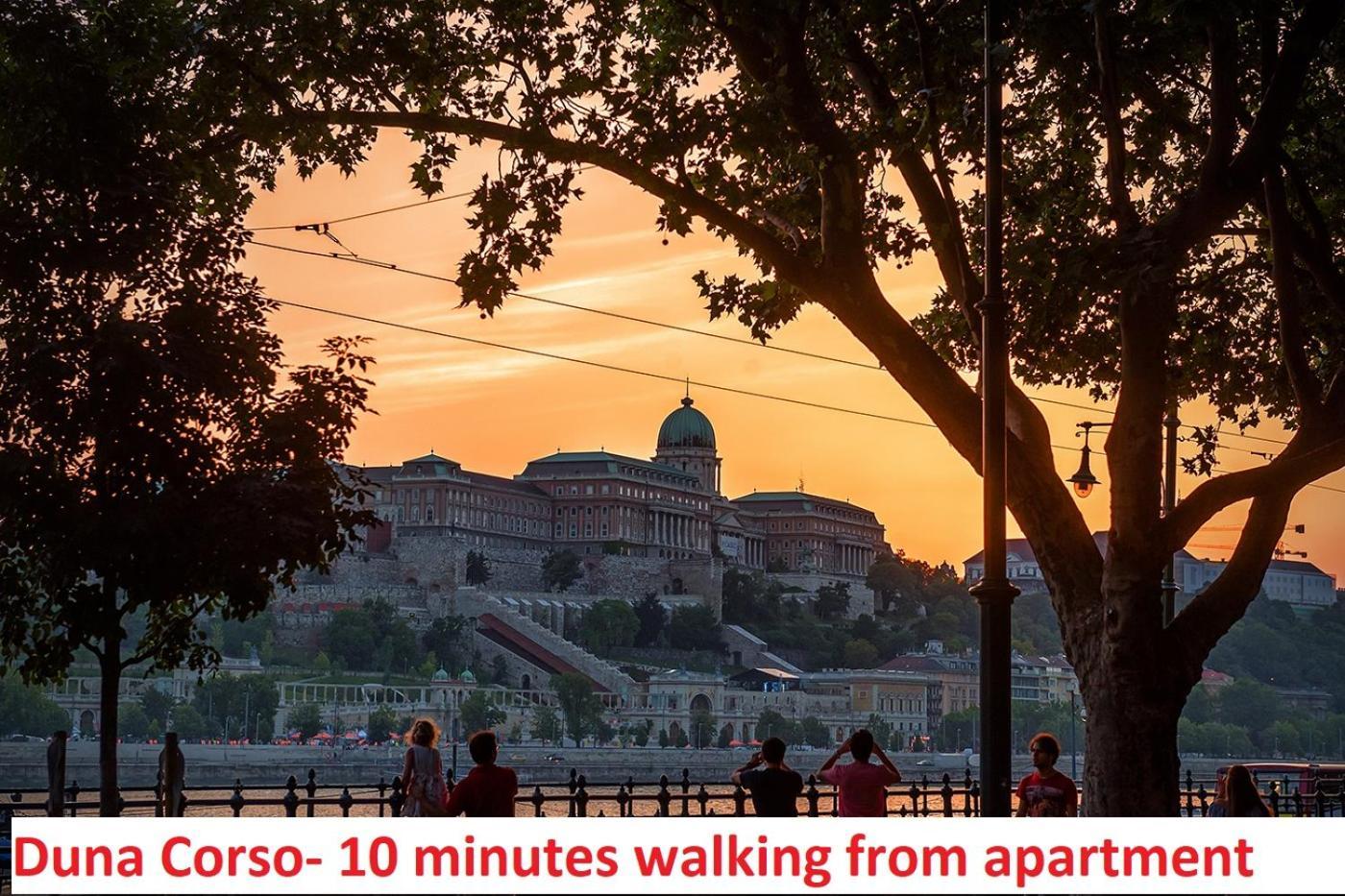 Chain Bridge Apartment Budapest Kültér fotó